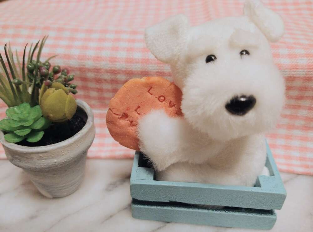 ペットのおやつ屋さん　Pu and Piyo🐾