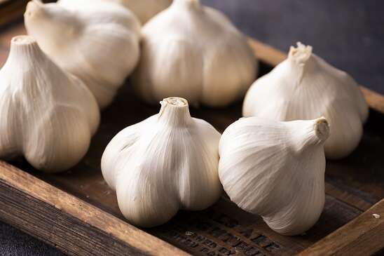 ともちゃんにんにく