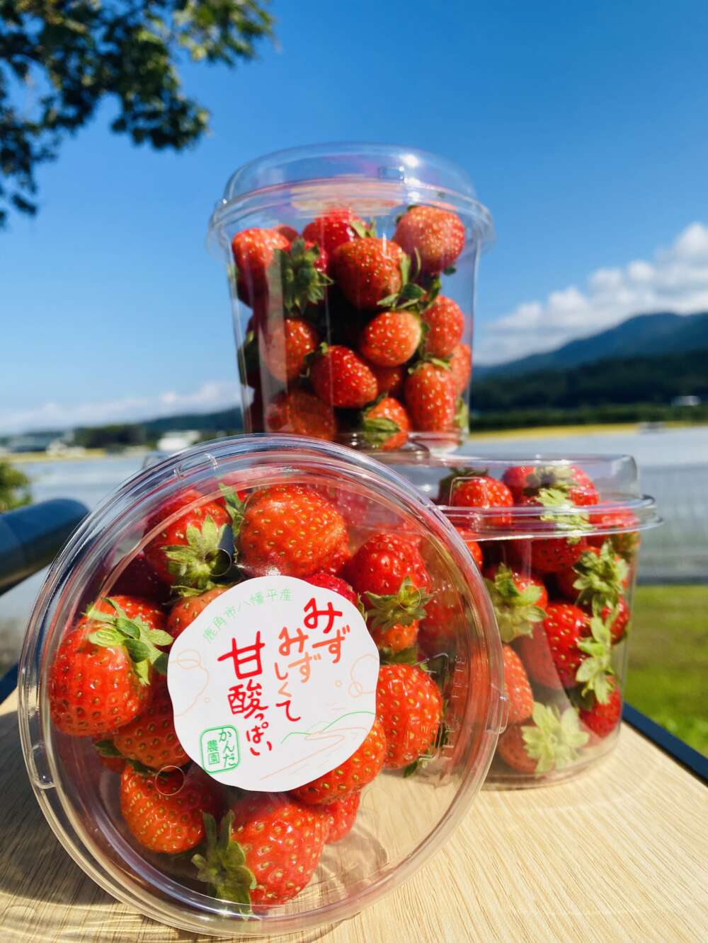 イチゴのじかんだ