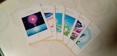 VitalForce　バイタルフォース