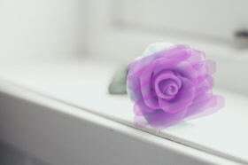 ときどき、フラワー