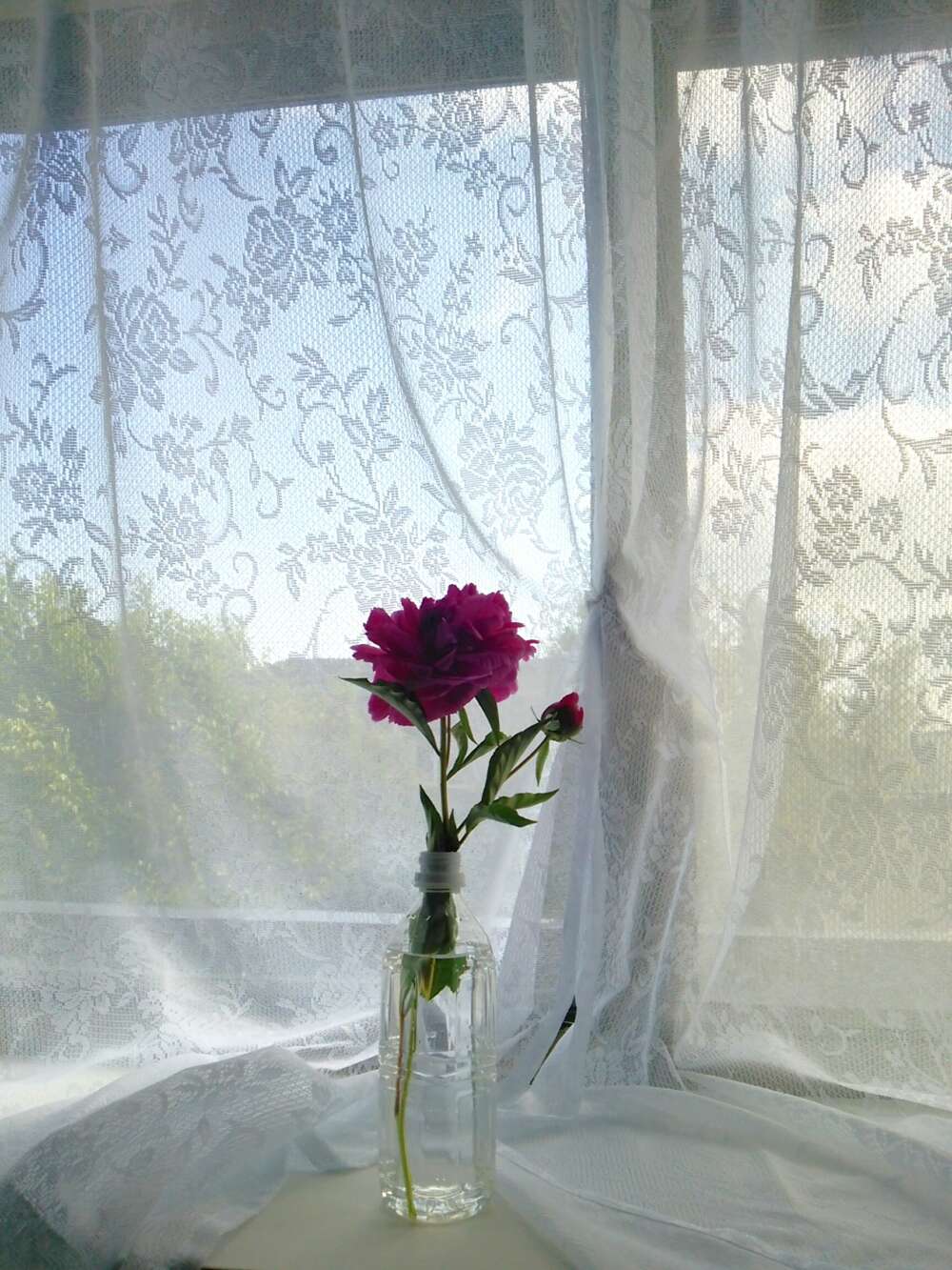 ときどき、フラワー