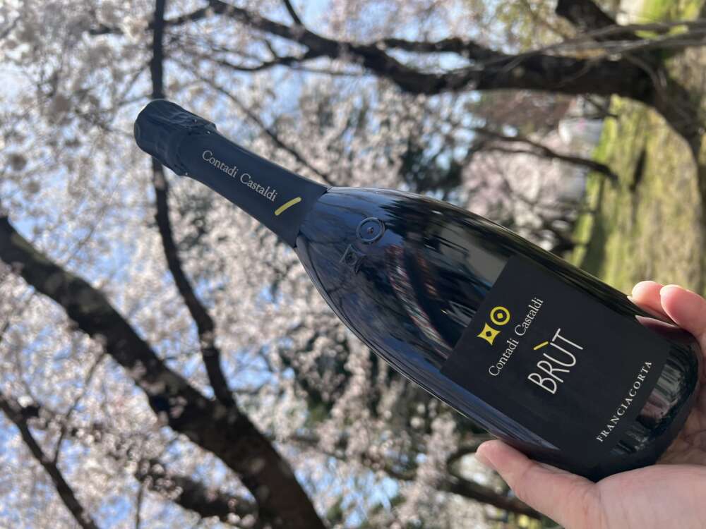 Vinvino Table / ヴァンビーノ テーブル