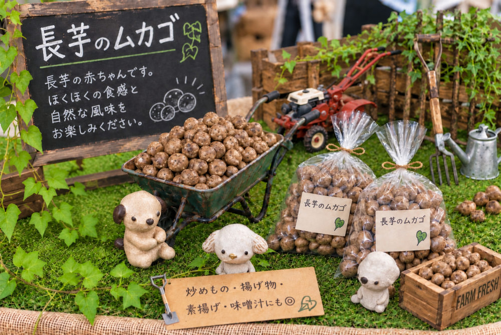 どうぶつのいる暮らし